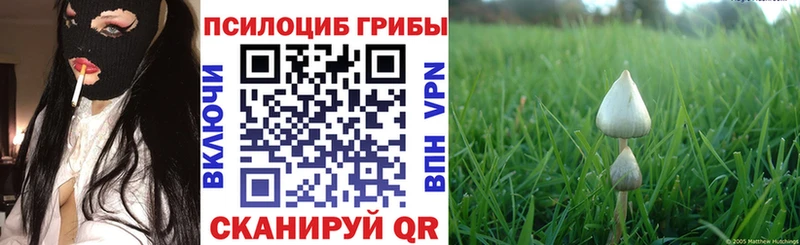 Псилоцибиновые грибы Psilocybe  Ишим 