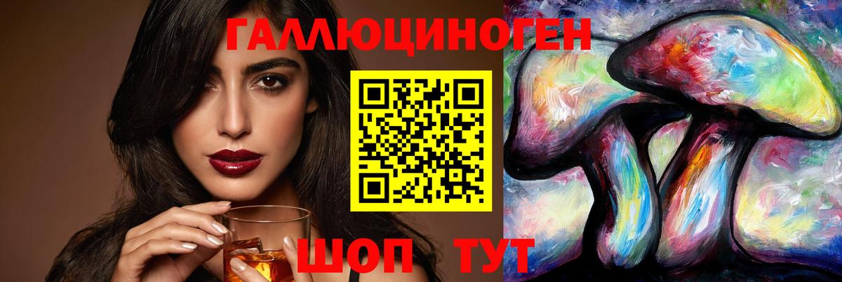 Галлюциногенные грибы Psilocybine cubensis Ишим