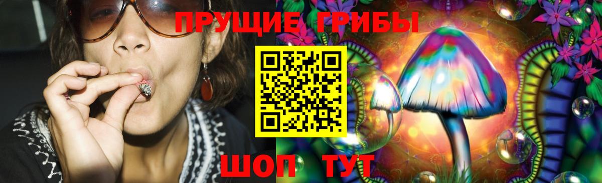 Ишим  Псилоцибиновые грибы Cubensis  Вход с VPN  Галлюциногенные грибы ЛСД 